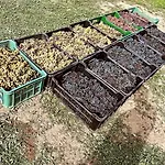 Affittacamere Stará Vinice 93 3*