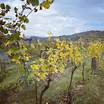 Stará Vinice 93 Affittacamere 3*