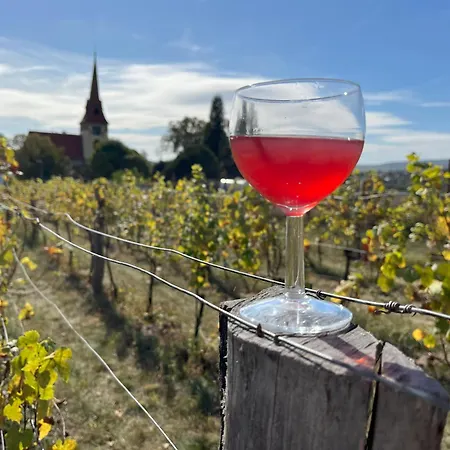 Casa de hóspedes Stará Vinice 93 Velke Zernoseky