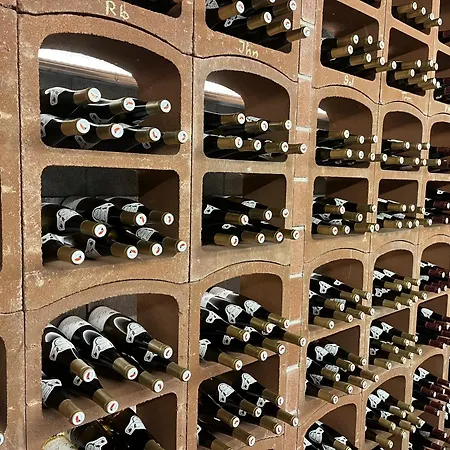 Casa de hóspedes Stará Vinice 93