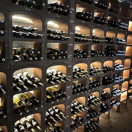 Casa de hóspedes Stará Vinice 93 3*